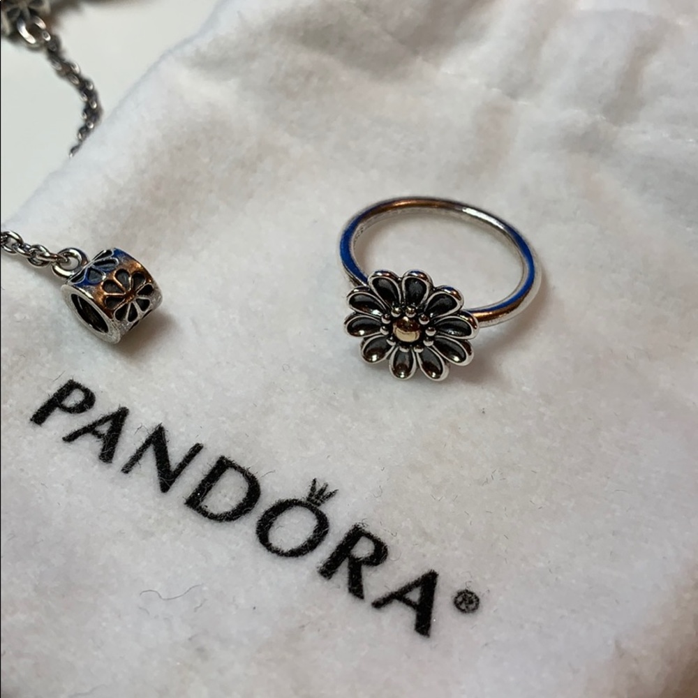 Pandora Sterling Silver & 14K Oopsie Daisy Ring